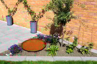 weed free garden